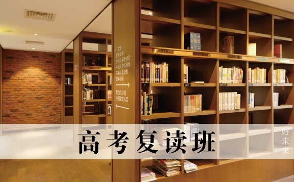 苏州掌胜高考复读班