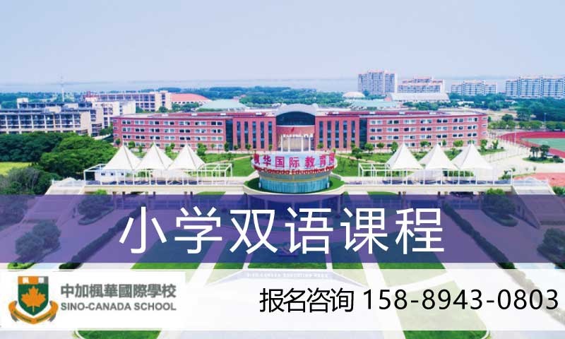 苏州小学双语课程